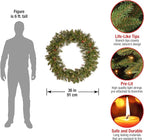 National Tree Company Pre-Lit Artificial Christmas Wreath, Green, Crestwood Spruce, White Lights, Decorated with Pine Cones, Berry Clusters, Frosted Branches, Christmas Collection, 36 Inches