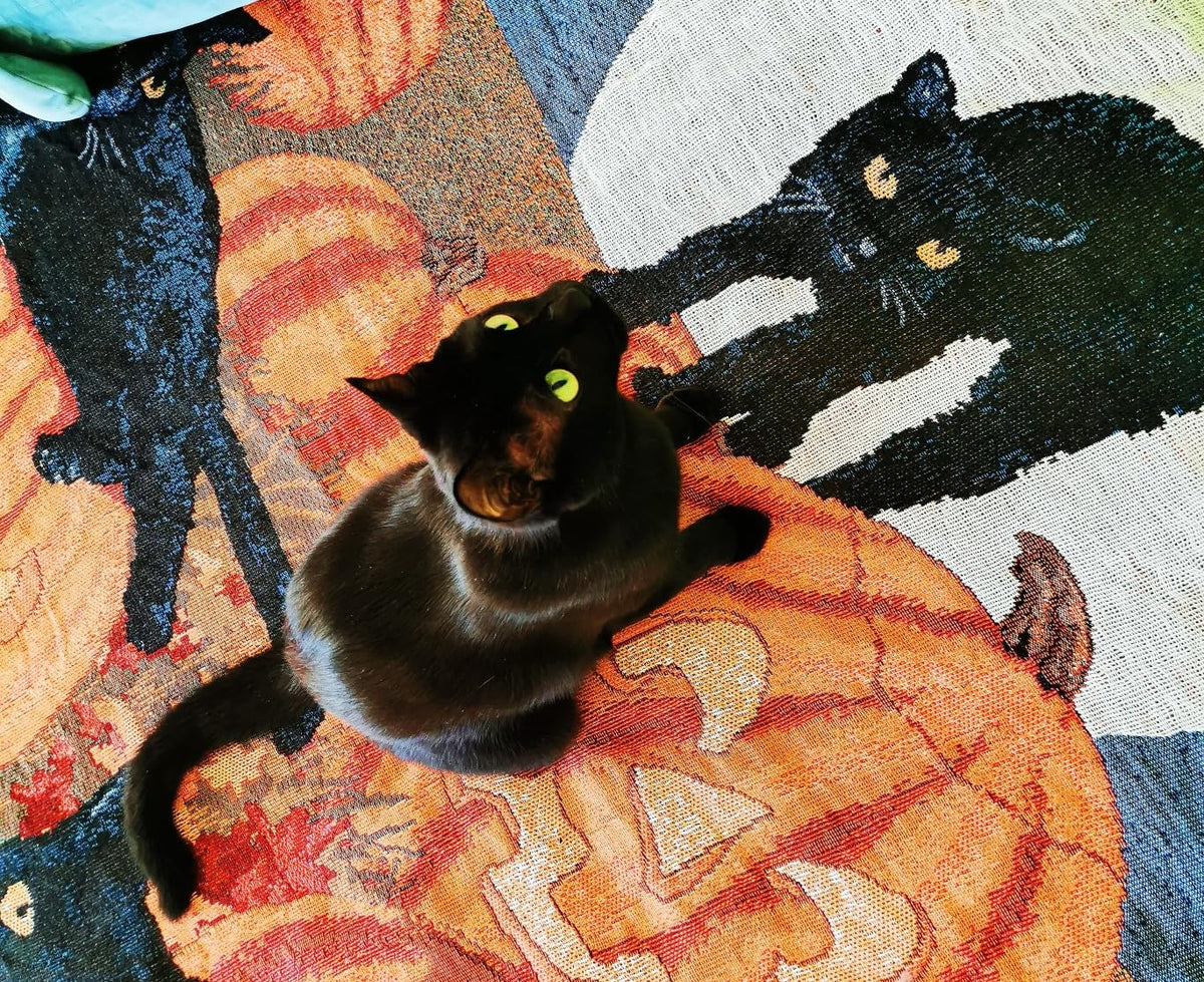 Vintage Halloween Sofa Cover Towel, Black Cat Throw Blanket,Christmas Throw Blanket,Sofa Protective Cover, Black Cat Pumpkin, Suitable for Bedroom and Living Room, Home Xmas Decor